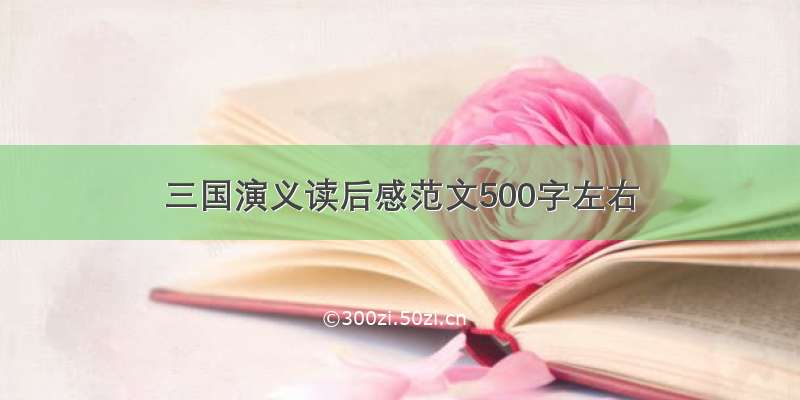 三国演义读后感范文500字左右