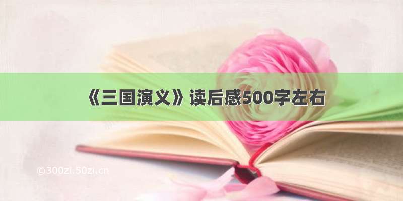 《三国演义》读后感500字左右