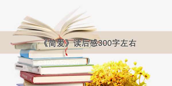 《简爱》读后感300字左右