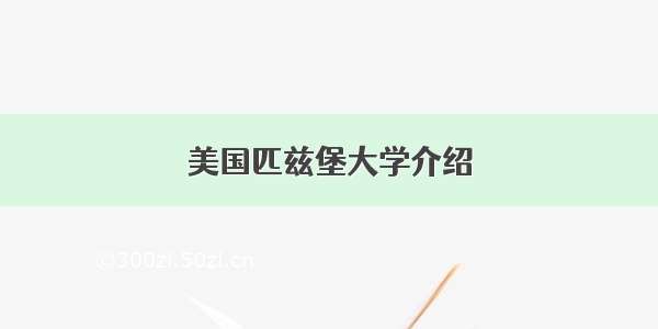 美国匹兹堡大学介绍