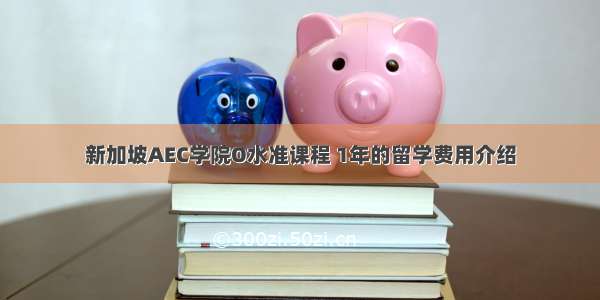 新加坡AEC学院O水准课程 1年的留学费用介绍