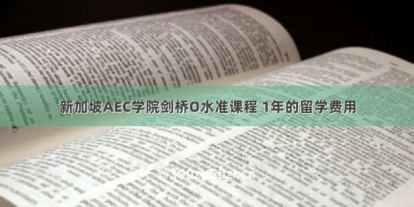 新加坡AEC学院剑桥O水准课程 1年的留学费用