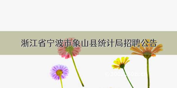 浙江省宁波市象山县统计局招聘公告