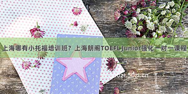 上海哪有小托福培训班？上海朗阁TOEFL Junior强化一对一课程