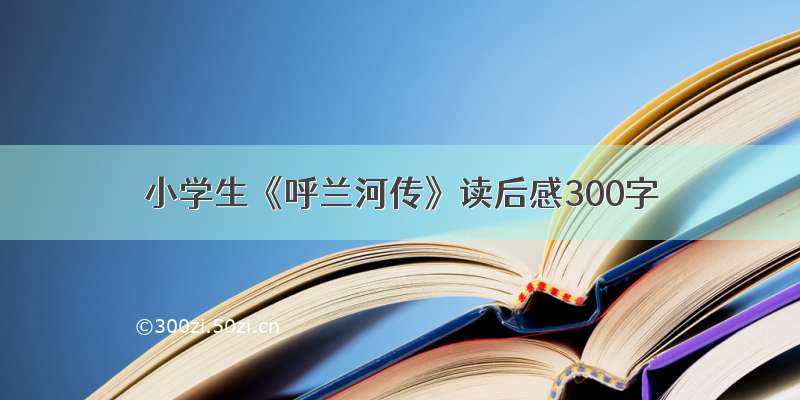 小学生《呼兰河传》读后感300字