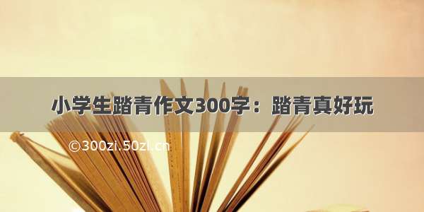 小学生踏青作文300字：踏青真好玩