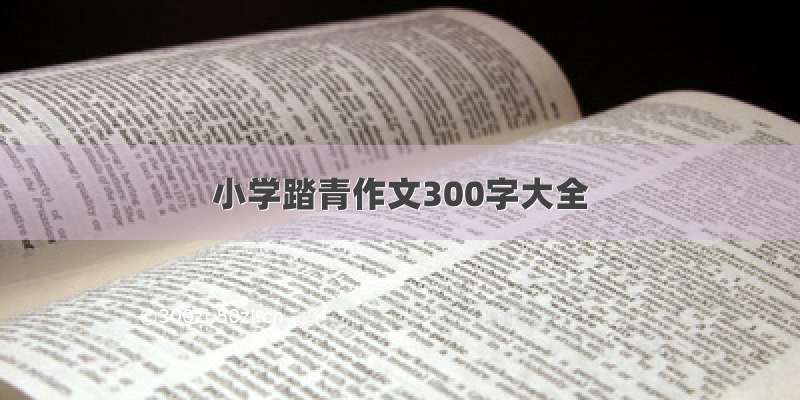 小学踏青作文300字大全