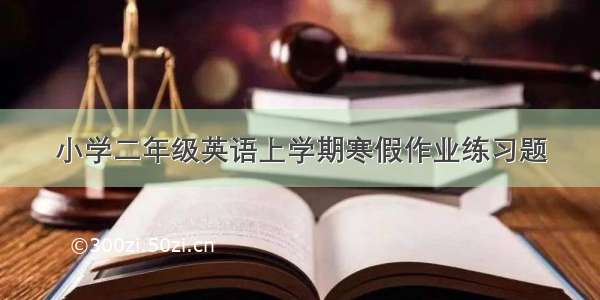 小学二年级英语上学期寒假作业练习题