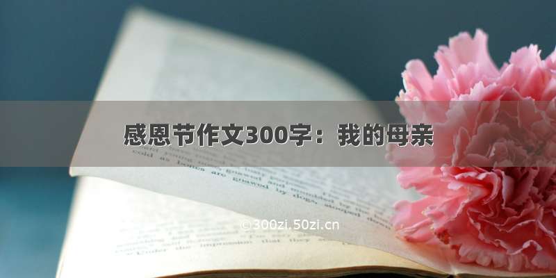 感恩节作文300字：我的母亲