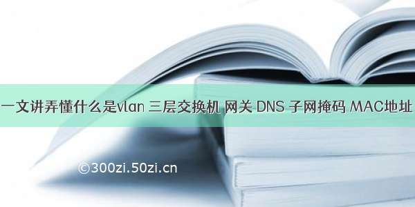 一文讲弄懂什么是vlan 三层交换机 网关 DNS 子网掩码 MAC地址