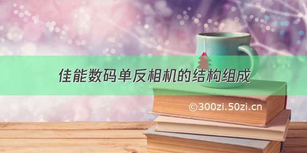 佳能数码单反相机的结构组成