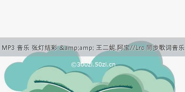 MP3 音乐 张灯结彩 &amp; 王二妮.阿宝//Lrc 同步歌词音乐