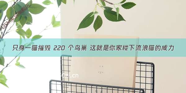 只身一猫摧毁 220 个鸟巢 这就是你家楼下流浪猫的威力