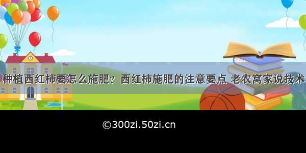 种植西红柿要怎么施肥？西红柿施肥的注意要点 老农窝家说技术