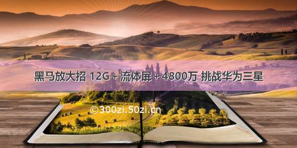 黑马放大招 12G＋流体屏＋4800万 挑战华为三星