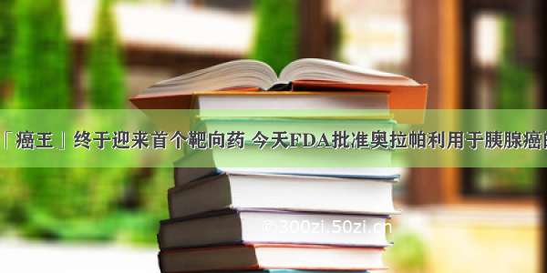 年末重磅！「癌王」终于迎来首个靶向药 今天FDA批准奥拉帕利用于胰腺癌的维持治疗丨