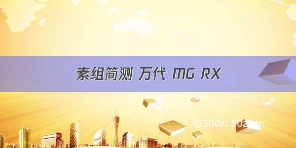 素组简测 万代 MG RX