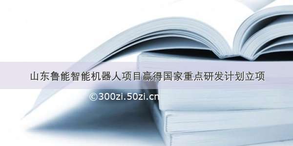 山东鲁能智能机器人项目赢得国家重点研发计划立项