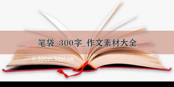 笔袋_300字_作文素材大全