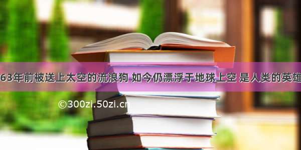 63年前被送上太空的流浪狗 如今仍漂浮于地球上空 是人类的英雄