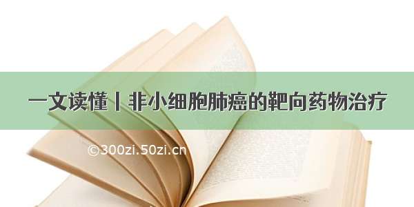 一文读懂丨非小细胞肺癌的靶向药物治疗