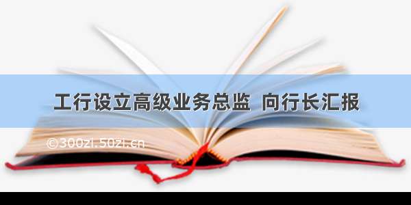 工行设立高级业务总监  向行长汇报