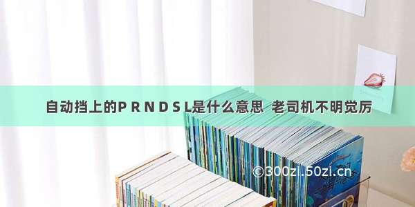 自动挡上的P R N D S L是什么意思  老司机不明觉厉