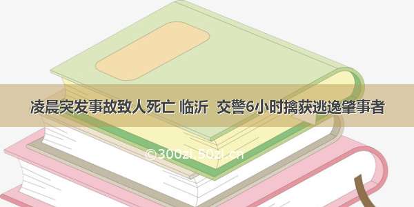 凌晨突发事故致人死亡 临沂  交警6小时擒获逃逸肇事者