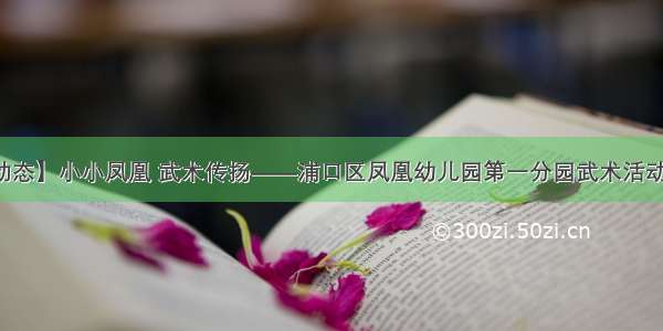 【分园动态】小小凤凰 武术传扬——浦口区凤凰幼儿园第一分园武术活动信息报道