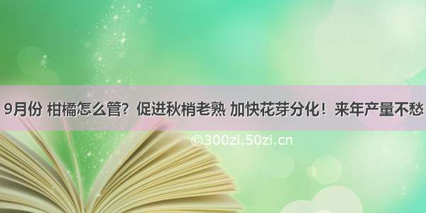 9月份 柑橘怎么管？促进秋梢老熟 加快花芽分化！来年产量不愁