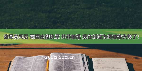 诸葛亮死后 蜀国由谁执掌 并非姜维 现在知道为何姜维失败了!