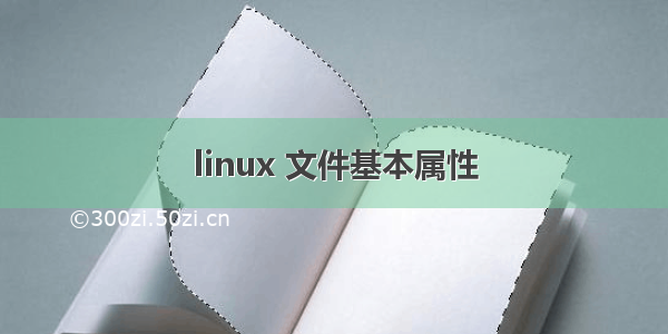 linux 文件基本属性