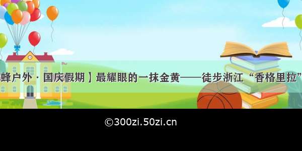 【大黄蜂户外·国庆假期】最耀眼的一抹金黄——徒步浙江“香格里拉”公盂村