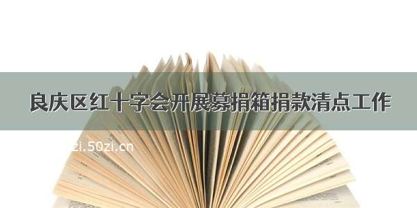 良庆区红十字会开展募捐箱捐款清点工作