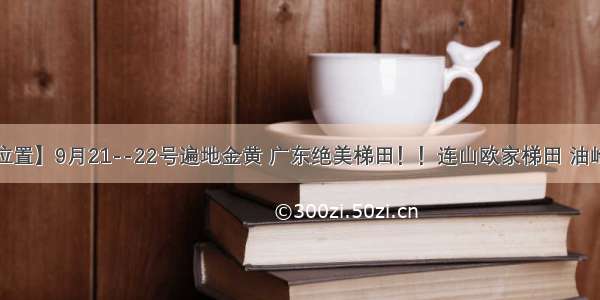 成行【还有位置】9月21--22号遍地金黄 广东绝美梯田！！连山欧家梯田 油岭千年古瑶寨