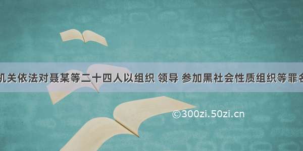 淄博检察机关依法对聂某等二十四人以组织 领导 参加黑社会性质组织等罪名提起公诉