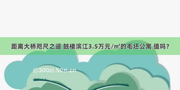 距离大桥咫尺之遥 鼓楼滨江3.5万元/㎡的毛坯公寓 值吗？