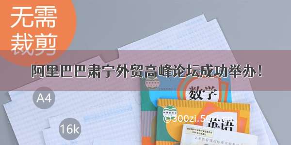 阿里巴巴肃宁外贸高峰论坛成功举办！