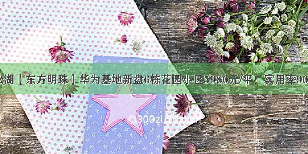 松湖【东方明珠】华为基地新盘6栋花园小区5980元/平！实用率90%