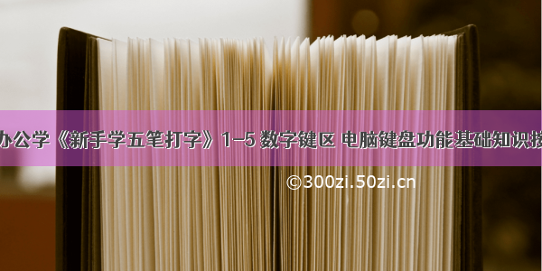 刘坚强办公学《新手学五笔打字》1-5 数字键区 电脑键盘功能基础知识按键详解