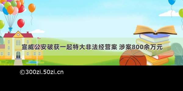 宣威公安破获一起特大非法经营案 涉案800余万元