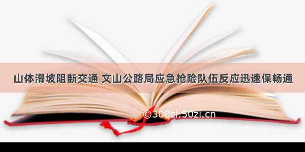 山体滑坡阻断交通 文山公路局应急抢险队伍反应迅速保畅通