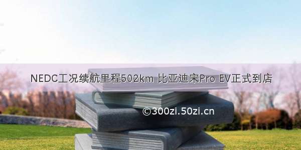 NEDC工况续航里程502km 比亚迪宋Pro EV正式到店