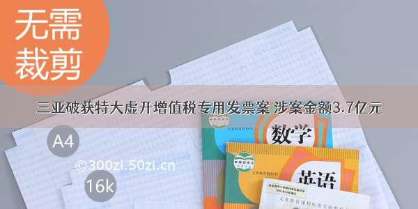 三亚破获特大虚开增值税专用发票案 涉案金额3.7亿元