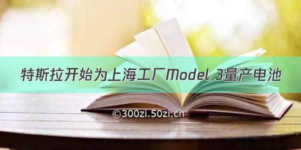 特斯拉开始为上海工厂Model 3量产电池