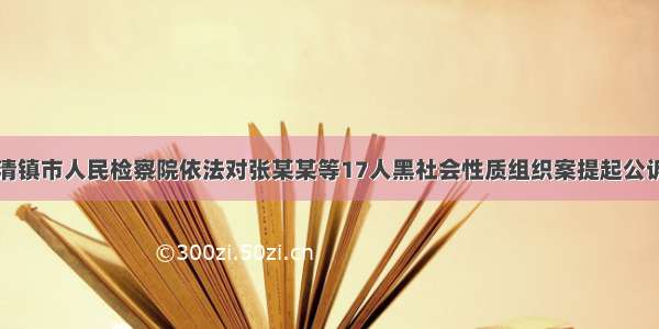 清镇市人民检察院依法对张某某等17人黑社会性质组织案提起公诉