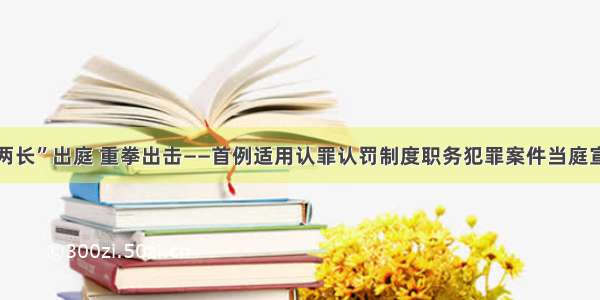 “两长”出庭 重拳出击——首例适用认罪认罚制度职务犯罪案件当庭宣判