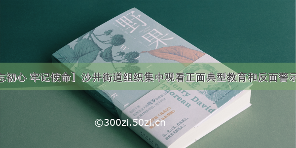 ［不忘初心 牢记使命］沙井街道组织集中观看正面典型教育和反面警示教育片