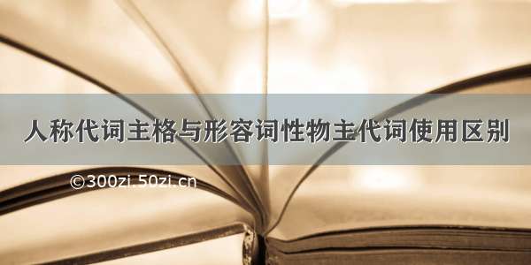 人称代词主格与形容词性物主代词使用区别