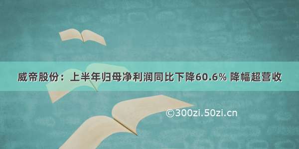 威帝股份：上半年归母净利润同比下降60.6% 降幅超营收